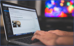 Night Owl Series: How to Build and Update a WordPress Site! with Nashlah Boyayan