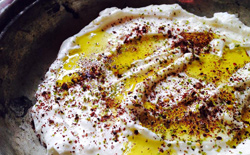 Mediterranean Appetizers