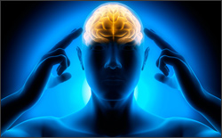 Get Your Head on Straight: Action Plan