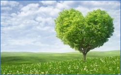 Clearing Your Energetic Past:Learn to Let Go