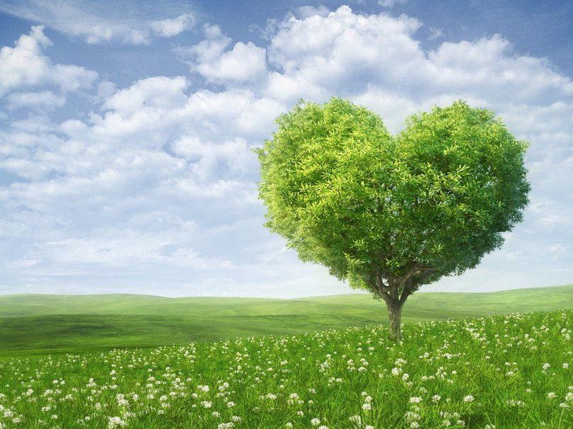 NIGHT OWL SERIES: Clearing Your Energetic Past: Letting Go of What Stops You from Being Your Magnificent Self! with Annette Pieper