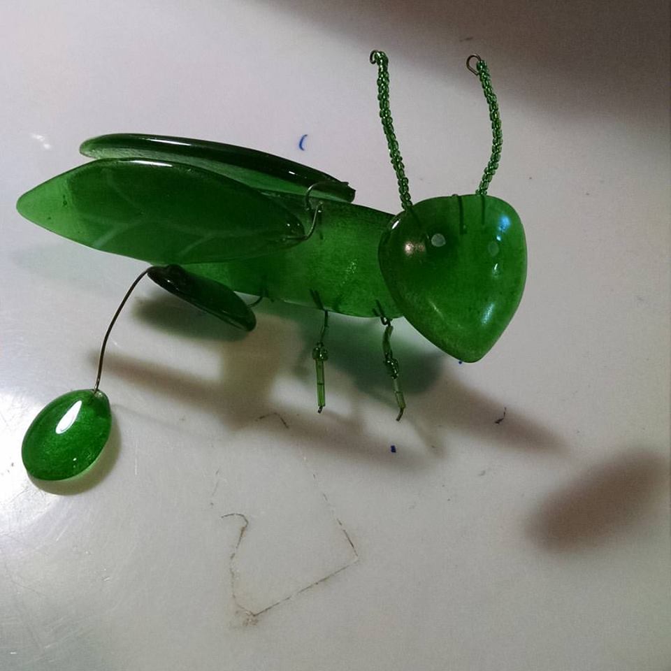 cricket.jpg