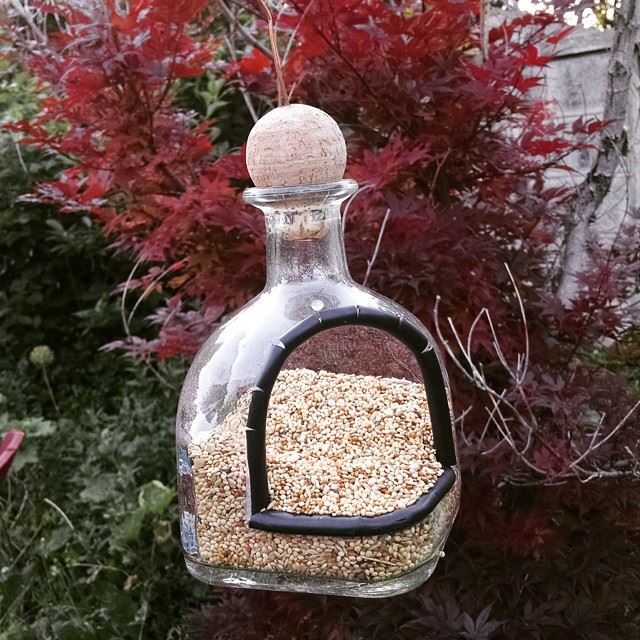 drunkenbirdfeeder.jpg