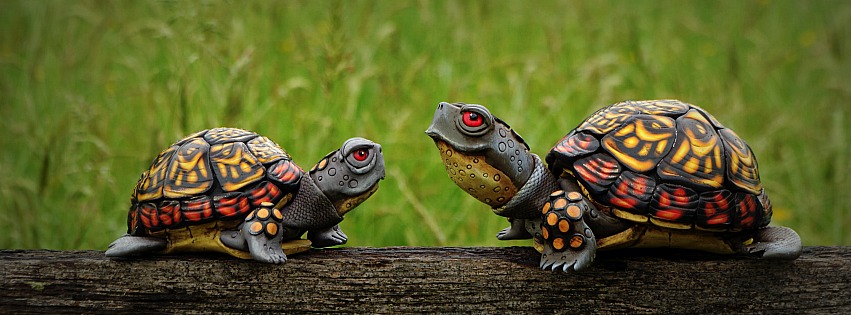 turtles-in-polymer-clay-01.jpg