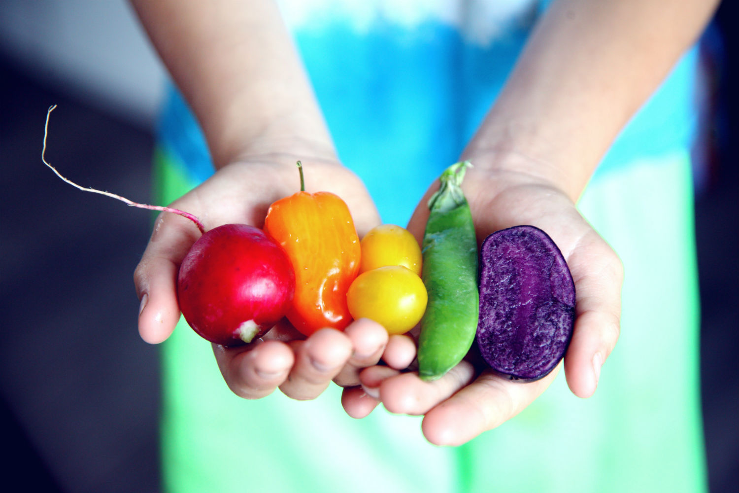 canning-pickling-and-preserves-04.jpg