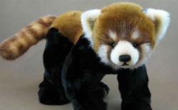 Advanced Teddy Bear Design