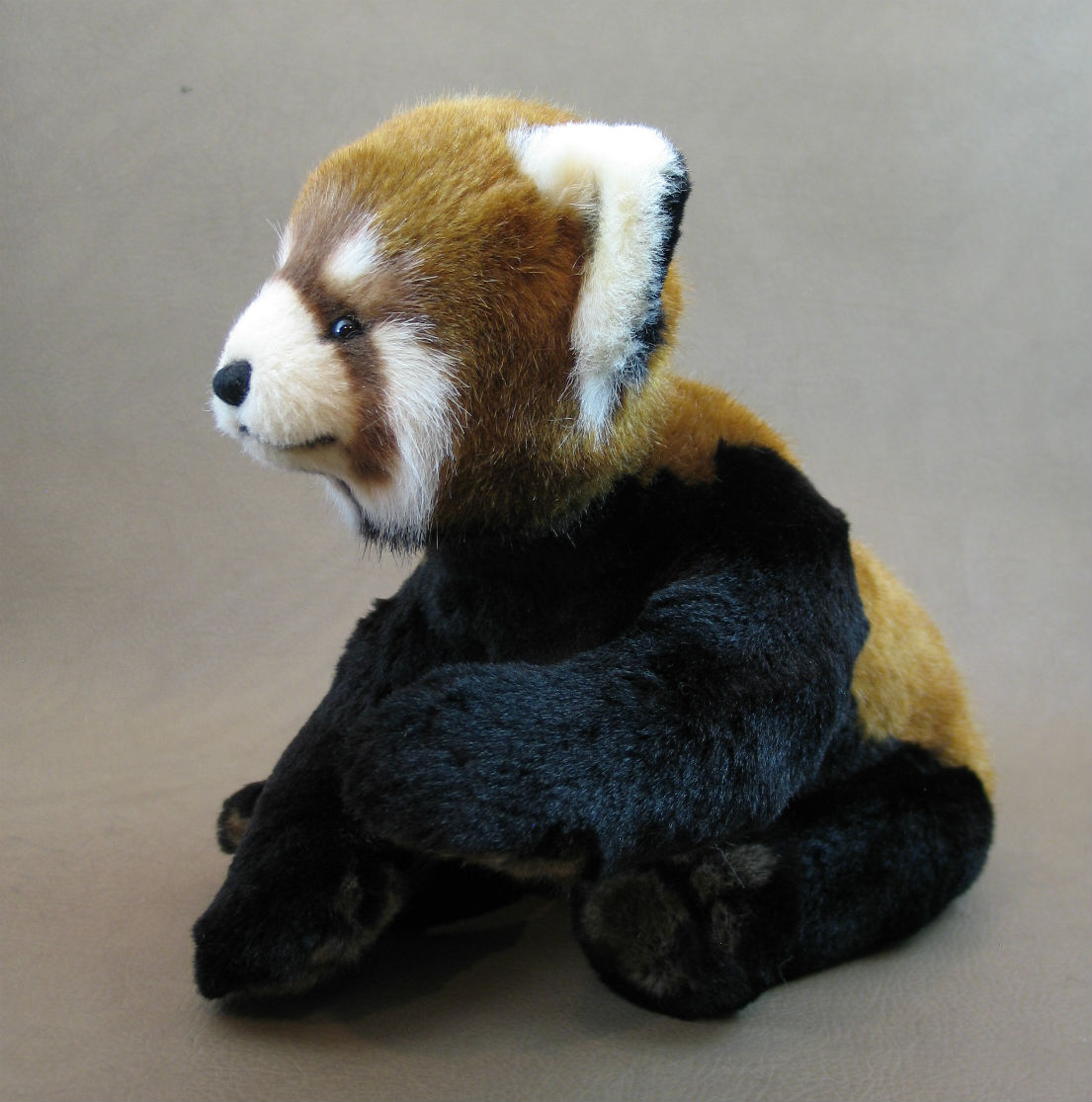 advanced-teddy-bear-design-03.jpg