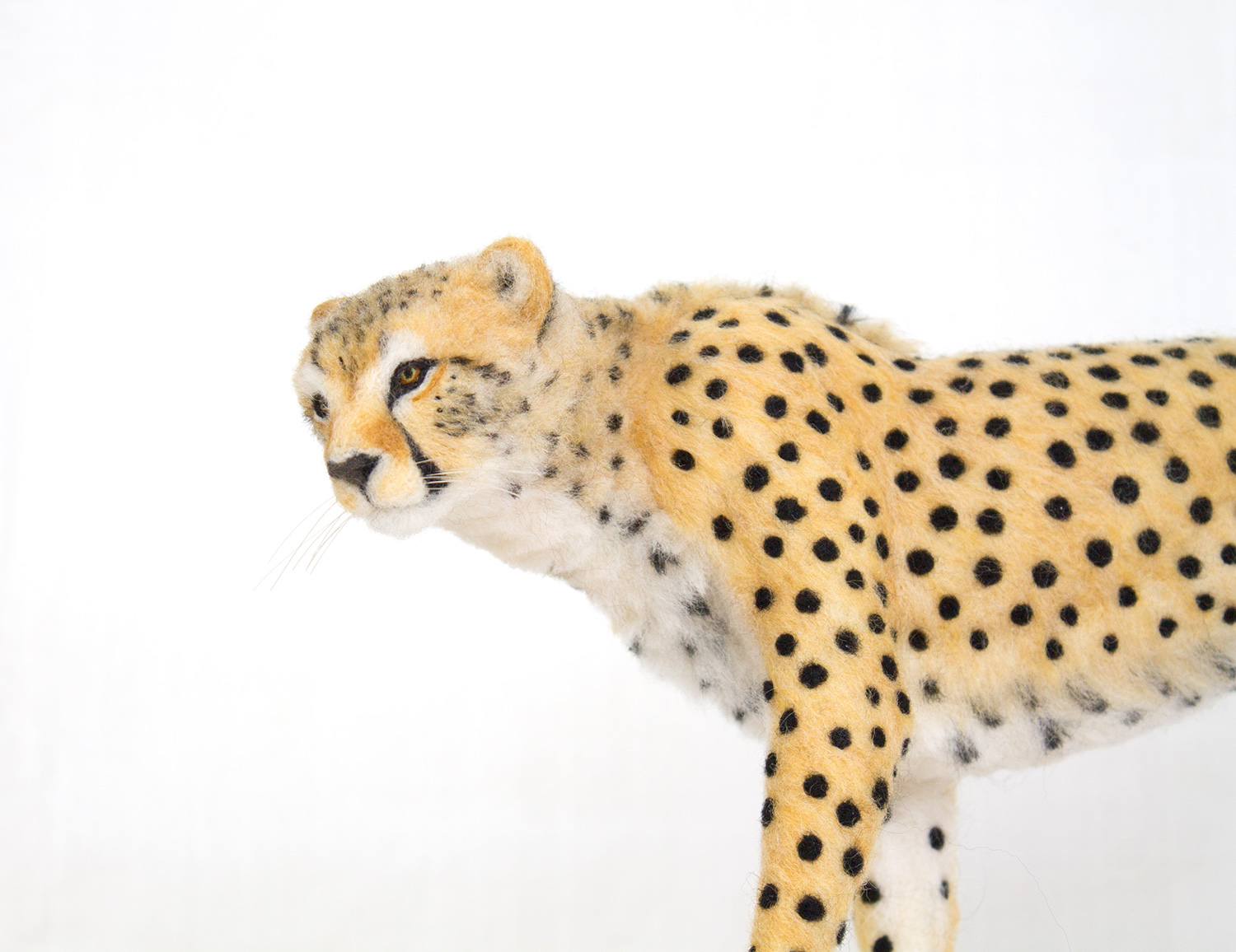 needle-felt-cat-sculpture-15.jpg