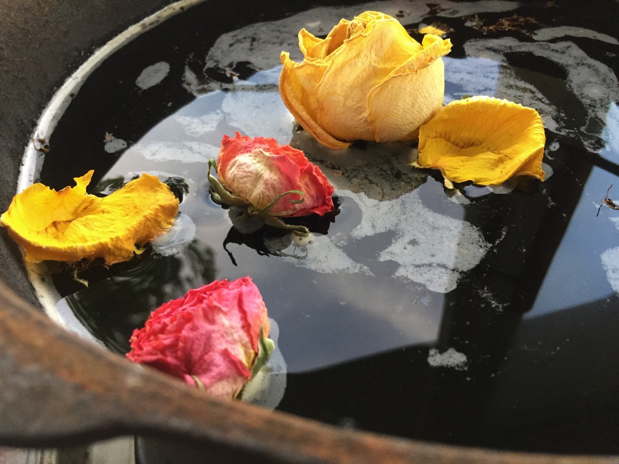 Natural Bundle Dyeing