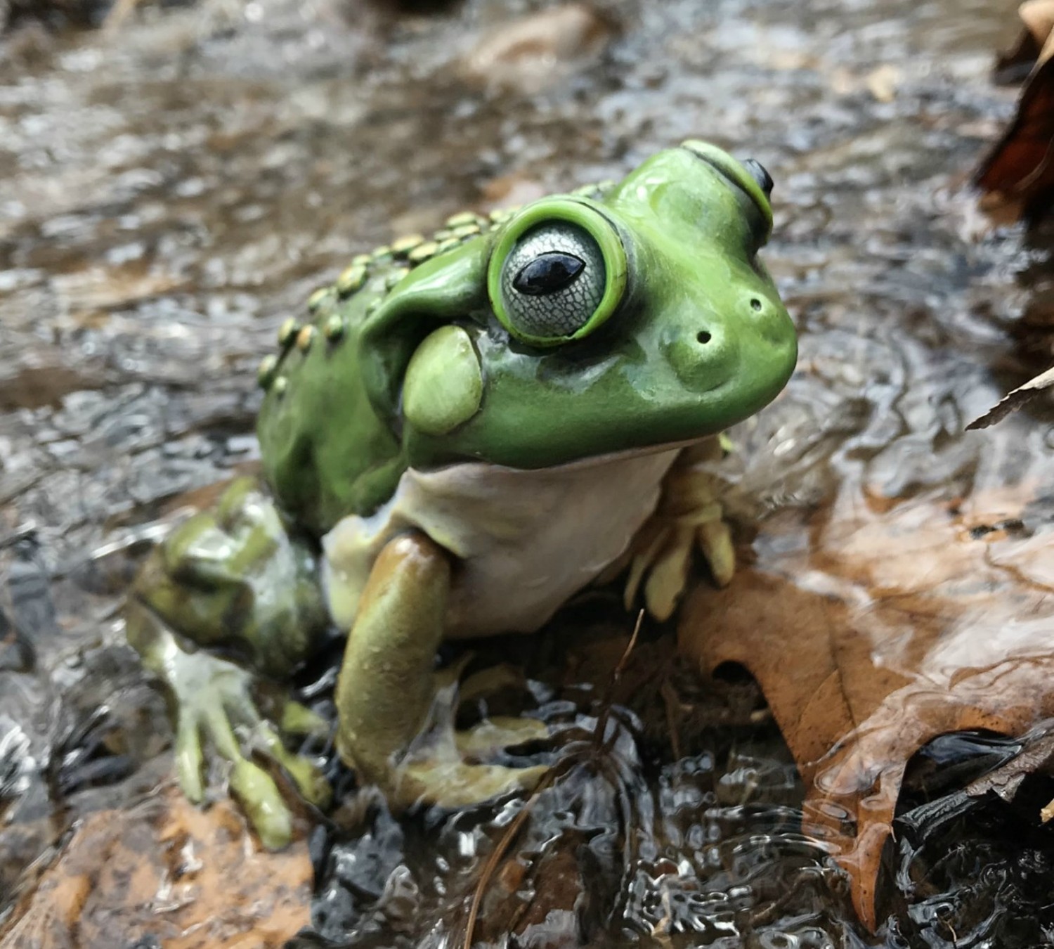 Sculpting a Polymer Clay Frog in a Pond LIVE with Melissa Terlizzi