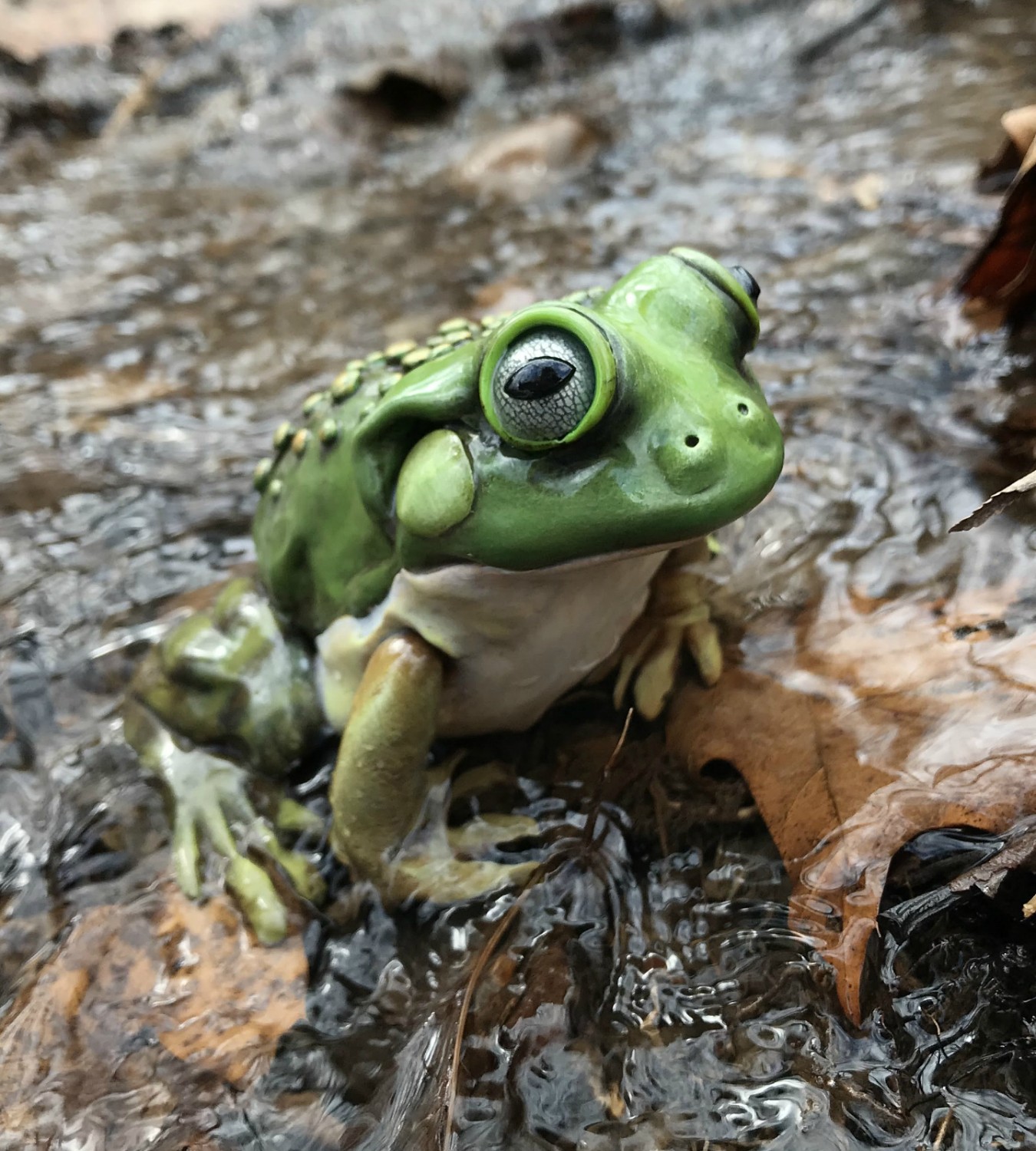 Sculpting a Polymer Clay Frog in a Pond LIVE with Melissa Terlizzi
