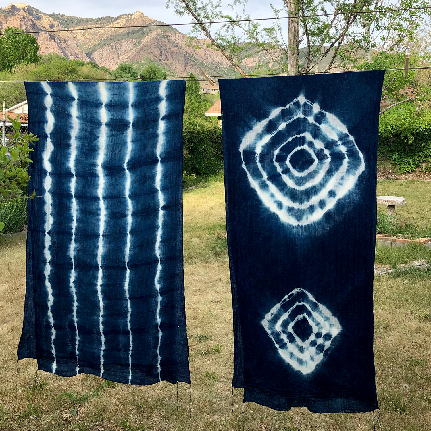 Introduction to Indigo Dyeing LIVE Training with Roxanne Vigos
