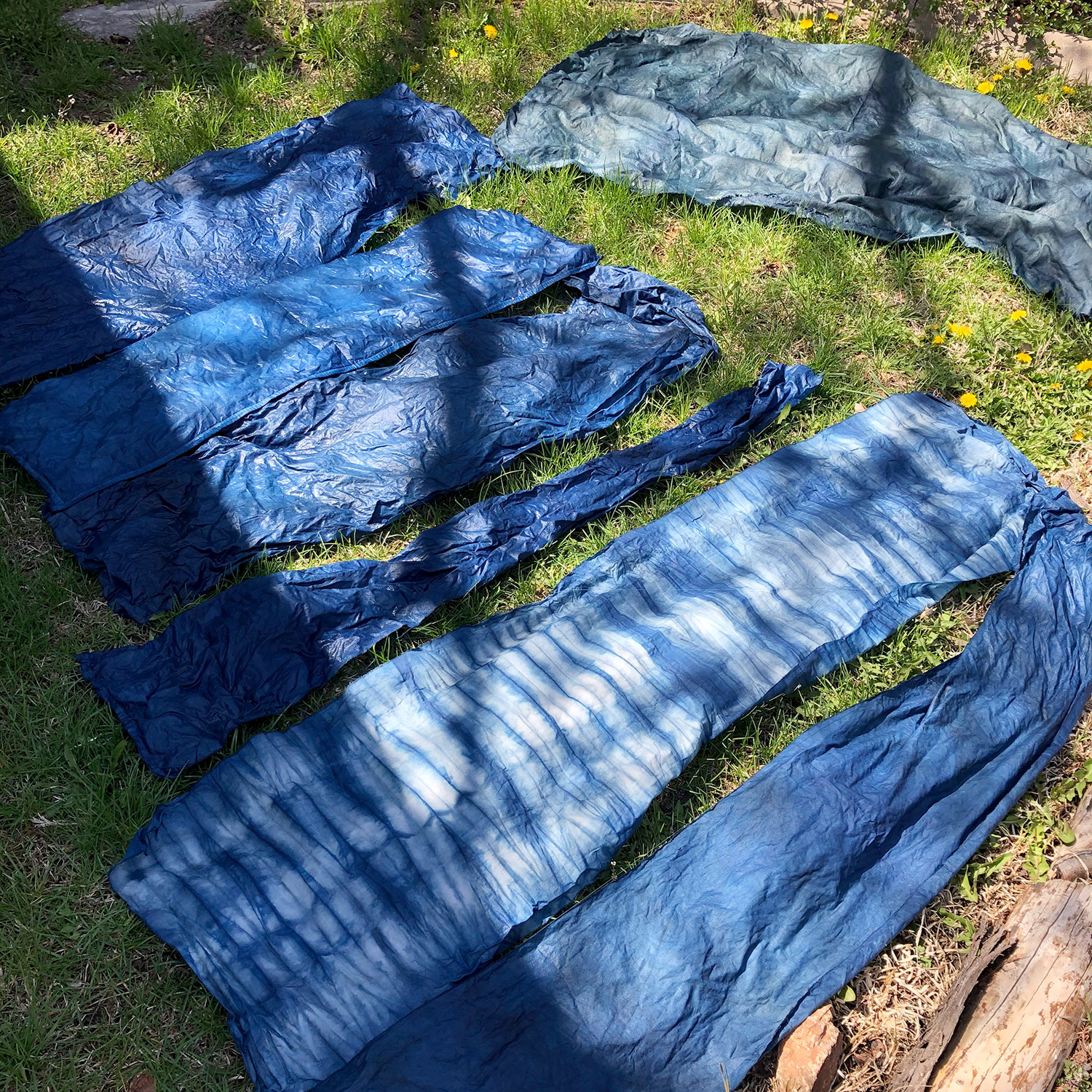Introduction to Indigo Dyeing LIVE Training with Roxanne Vigos