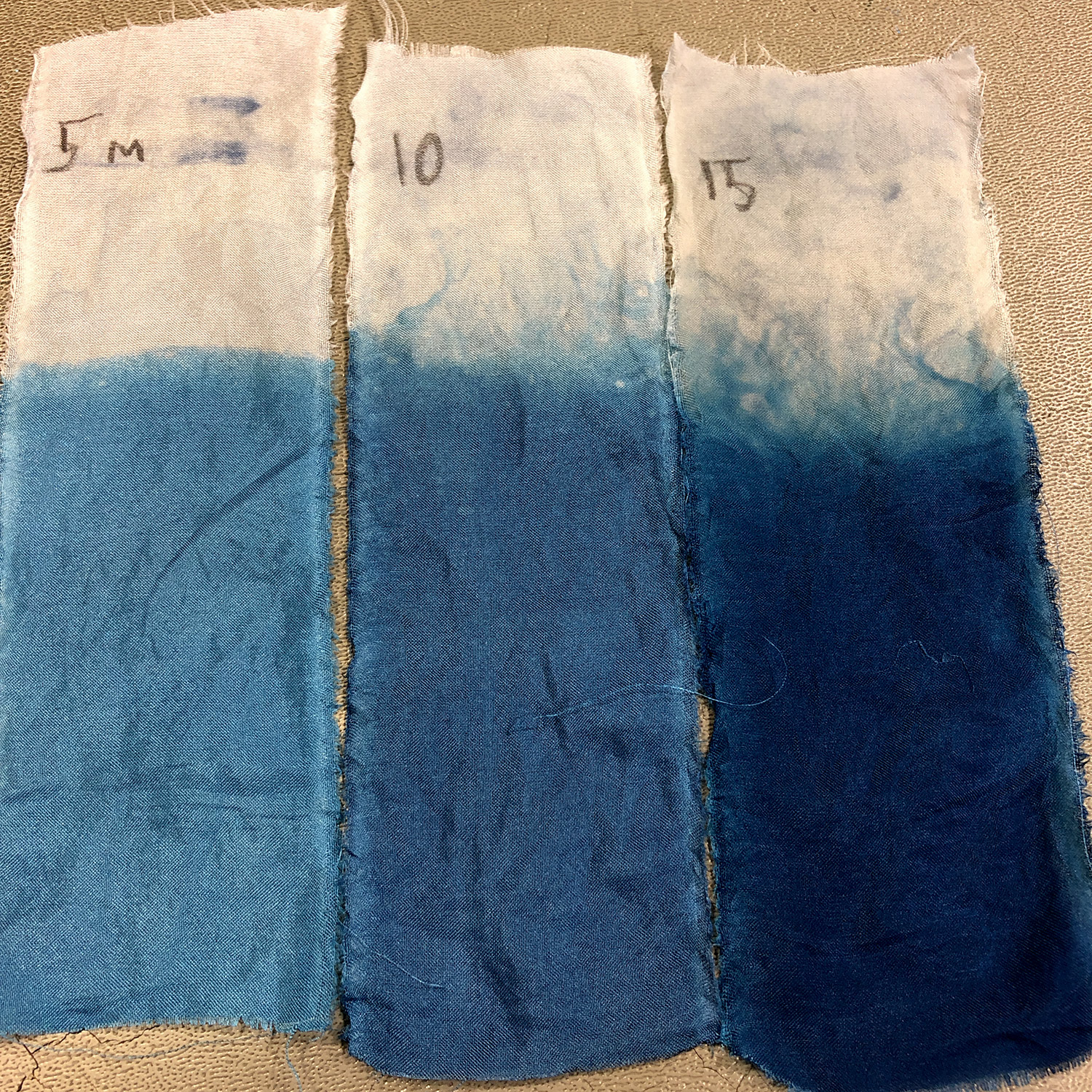Introduction to Indigo Dyeing with Roxanne Vigos