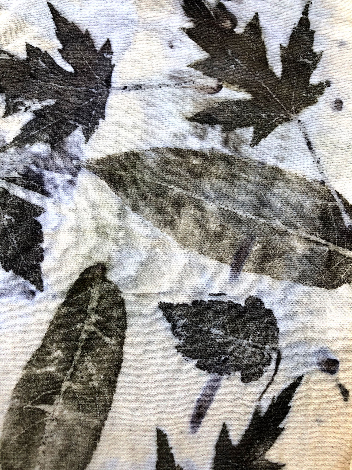 Leaf Prints on Cloth! LIVE with Roxanne Vigos