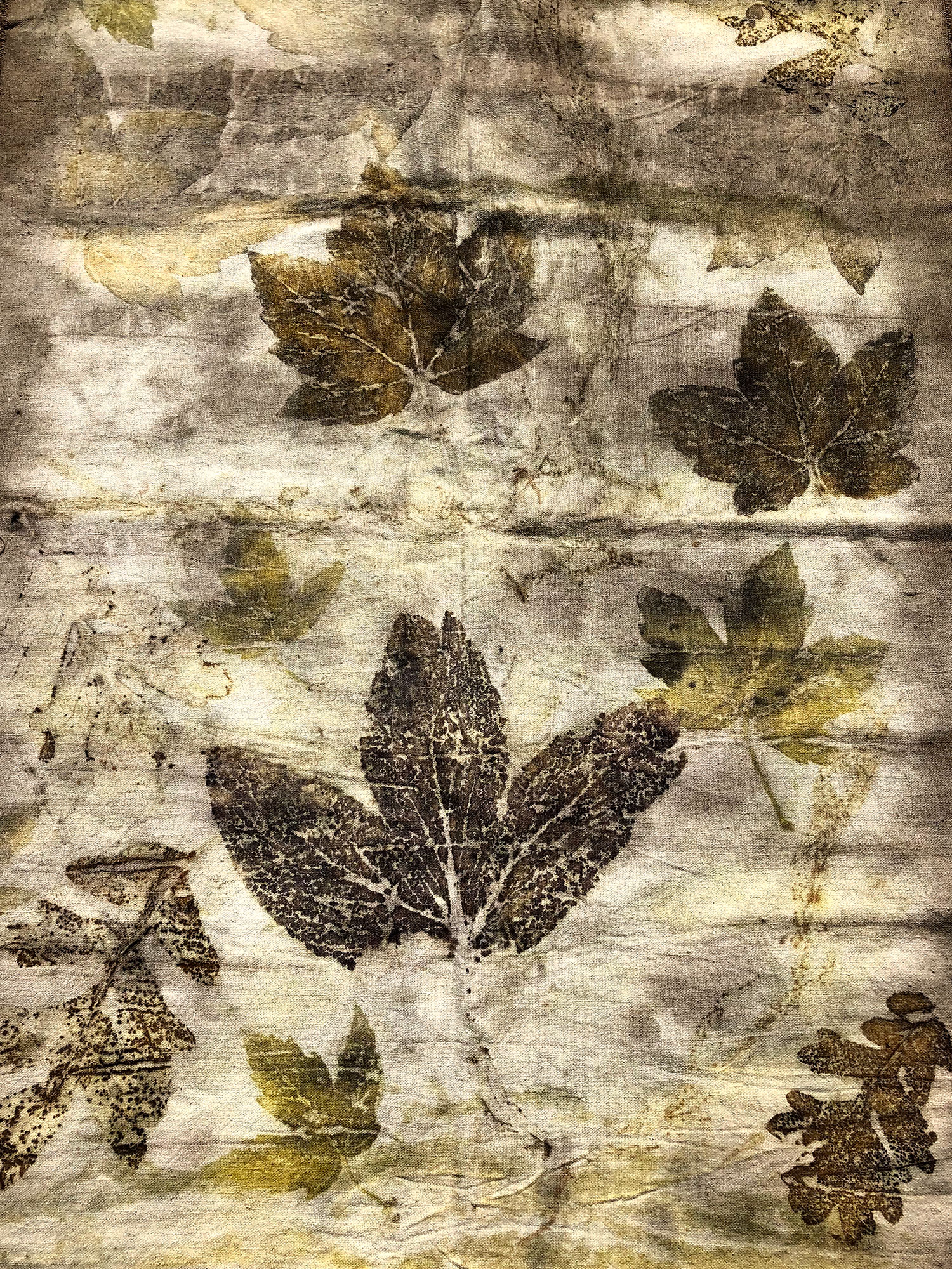 Leaf Prints on Cloth! LIVE w/ Roxanne Vigos