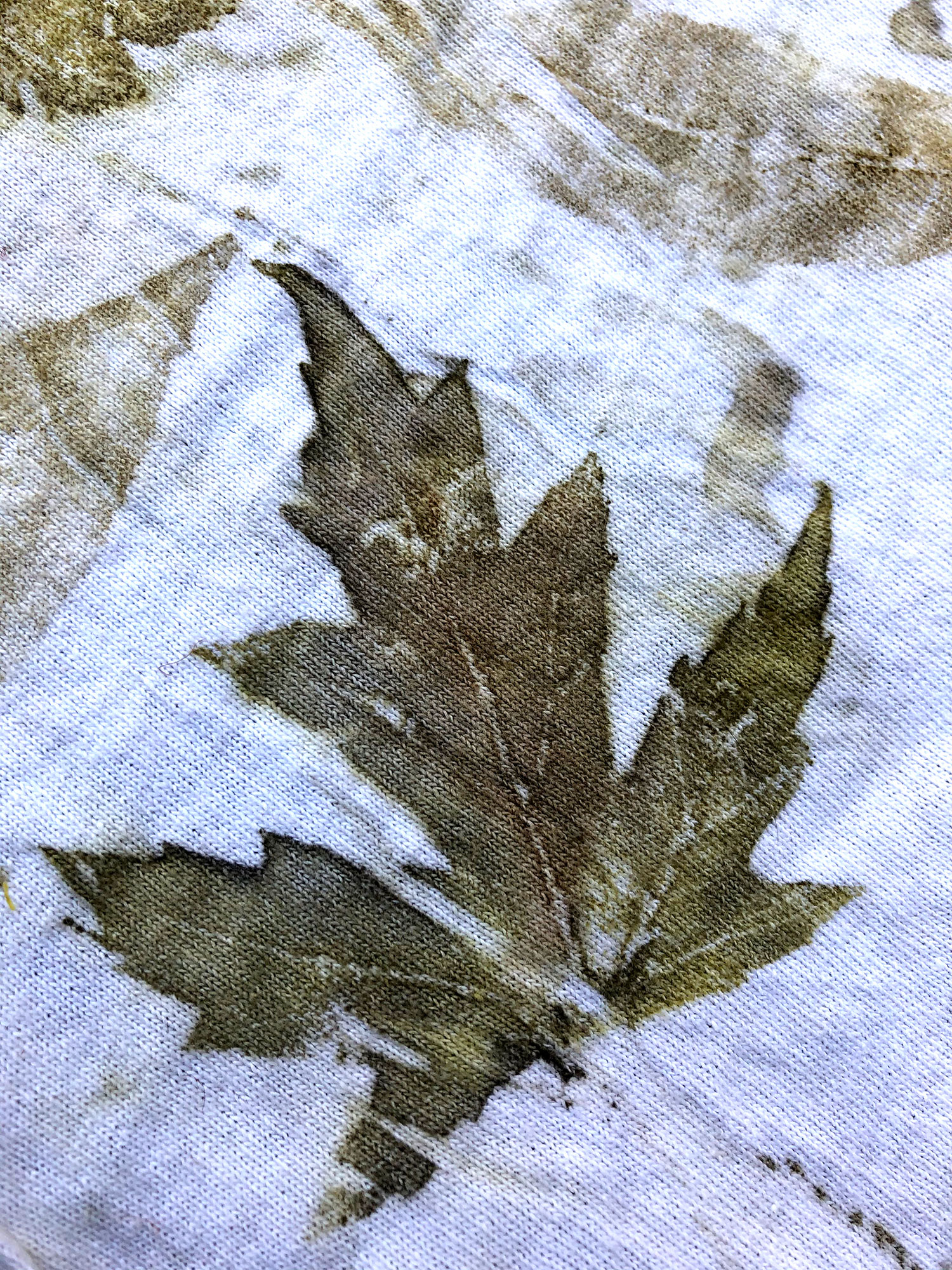 Leaf Prints on Cloth! LIVE with Roxanne Vigos