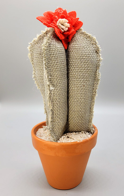 Fast Track: How to Make Textile Cacti! LIVE w/ Shahar Boyayan