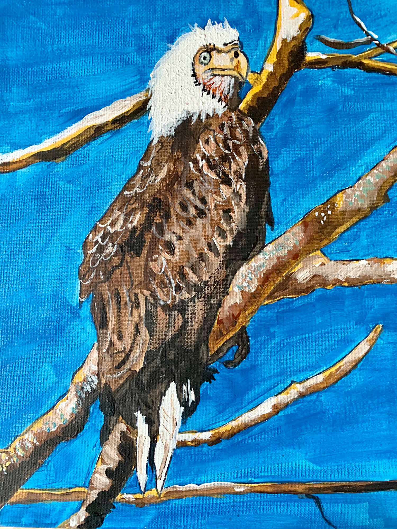 Painting Wildlife with Acrylic Paint! LIVE w/ Valerie Kent