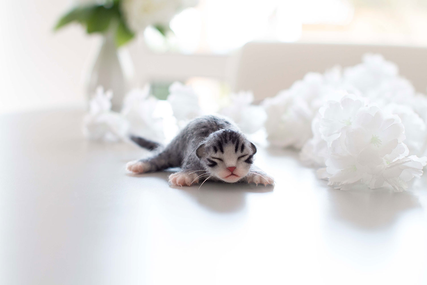 How to Make a Needle Felted Newborn Kitty! LIVE w/ Ana-Maria Istrate