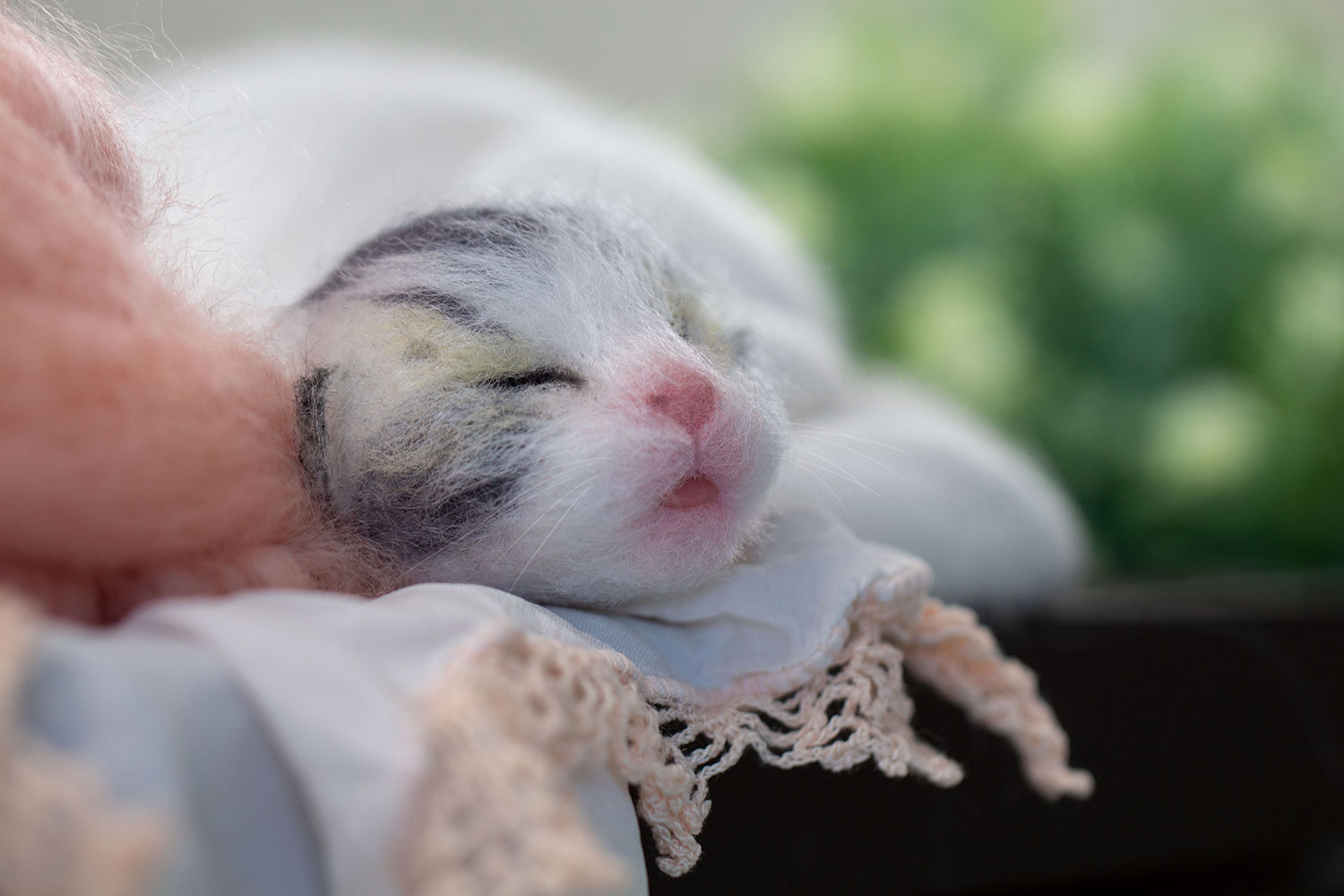 How to Make a Needle Felted Newborn Kitty! LIVE w/ Ana-Maria Istrate