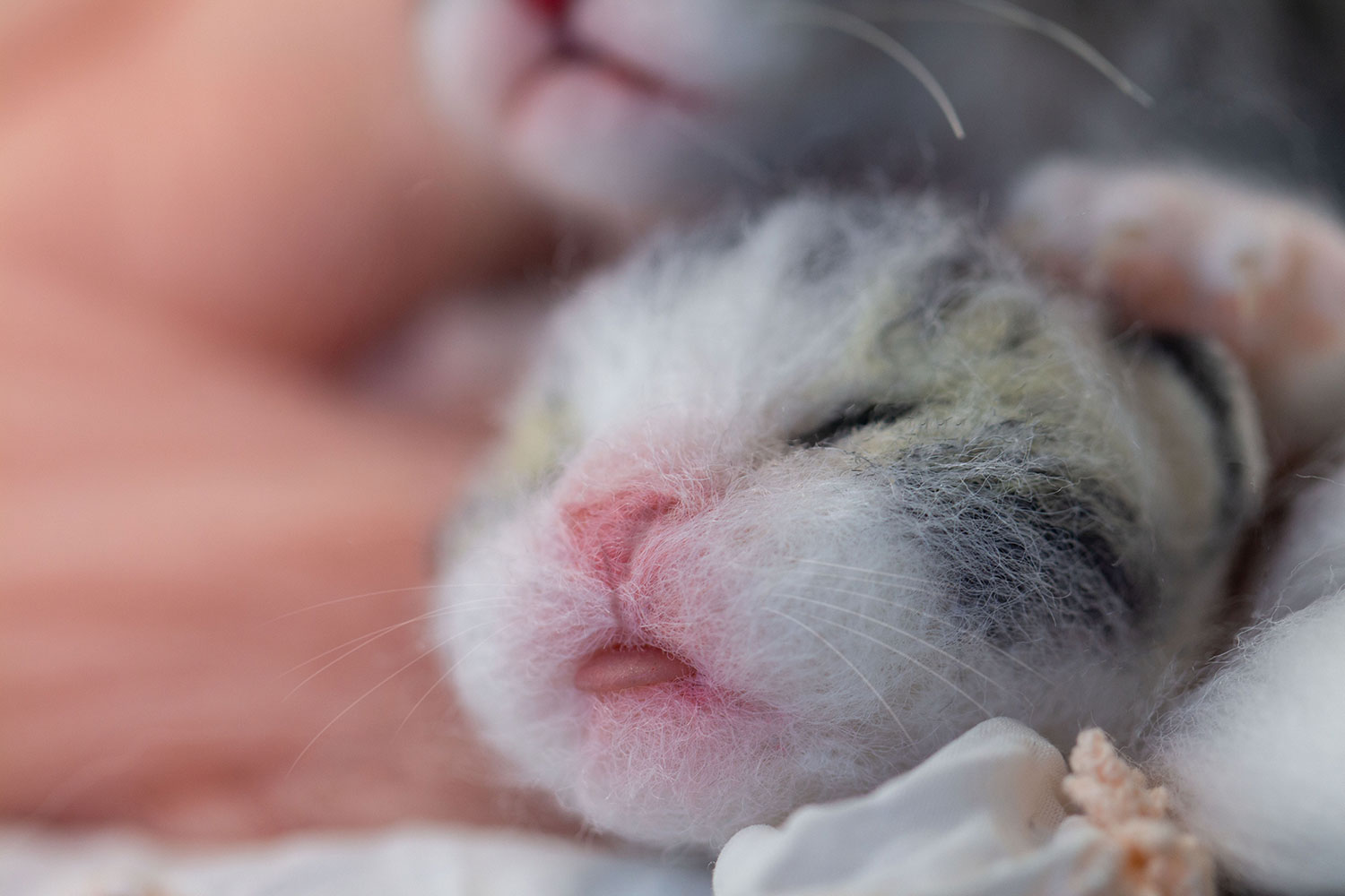 How to Make a Needle Felted Newborn Kitty! LIVE w/ Ana-Maria Istrate