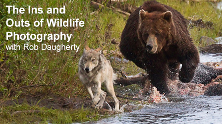 FB-Wildlife-Photography.jpg